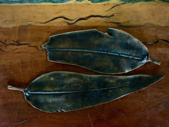 <strong><a href="mailto:robyn@bodostudio.com?subject=Bodo Studio Enquiry Naturalists' Collection 10 Gum Leaves">Enquire by email</a></strong>