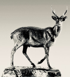 <strong><a href="mailto:robyn@bodostudio.com?subject=Bodo Studio Enquiry Naturalists' Collection 27 Hog Deer Stag">Enquire by email</a></strong>