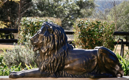 <strong><a href="mailto:robyn@bodostudio.com?subject=Bodo Studio Enquiry Naturalists' Collection 30 Roar Lion">Enquire by email</a></strong>