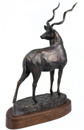 <strong><a href="mailto:robyn@bodostudio.com?subject=Bodo Studio Enquiry Naturalists' Collection 35 African Kudu">Enquire by email</a></strong>