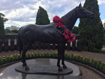 TODMAN - Thoroughbred Horse life size at Rosehill Gardens Race Course Sydney Australia Life Size (X Large) <strong><a href="mailto:robyn@bodostudio.com?subject=Bodo Studio Equestrian Collection - Todman 7">Enquire by email</a></strong>