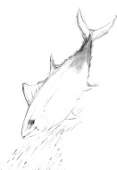 Concept drawing for Bluefin Chasing Pilchards sculpture.